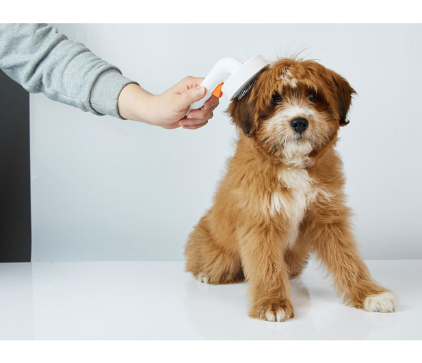 PetKit Grooming 2 szczotka dla psów i kotów - 1351312 - zdjęcie 4